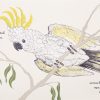 Kookaburra Kookaburra - inside pages