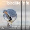March 2021 cover - Malleefowl