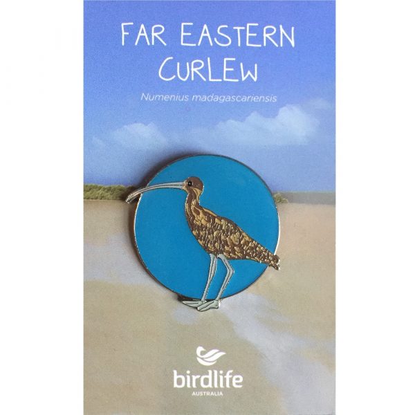 Far Eastern Curlew bird pin