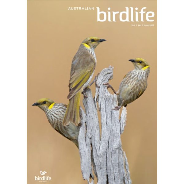 Front cover featuring three Yellow-plumed Honeyeaters