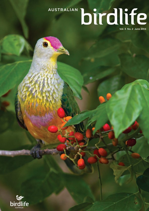 Front cover featuring a Rose-crowned Fruit-Dove