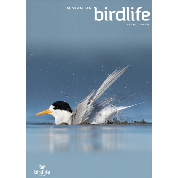 Front cover featuring a Fairy Tern