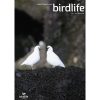 Front cover featuring two Black-faced Sheathbills