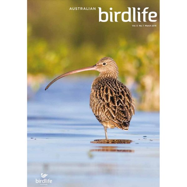 Front cover featuring a Far Eastern Curlew