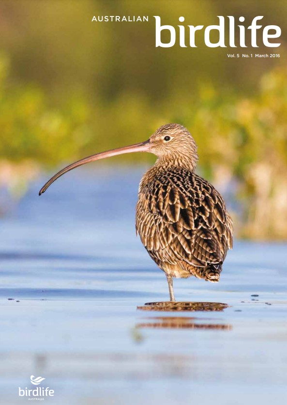 Front cover featuring Far Eastern Curlew