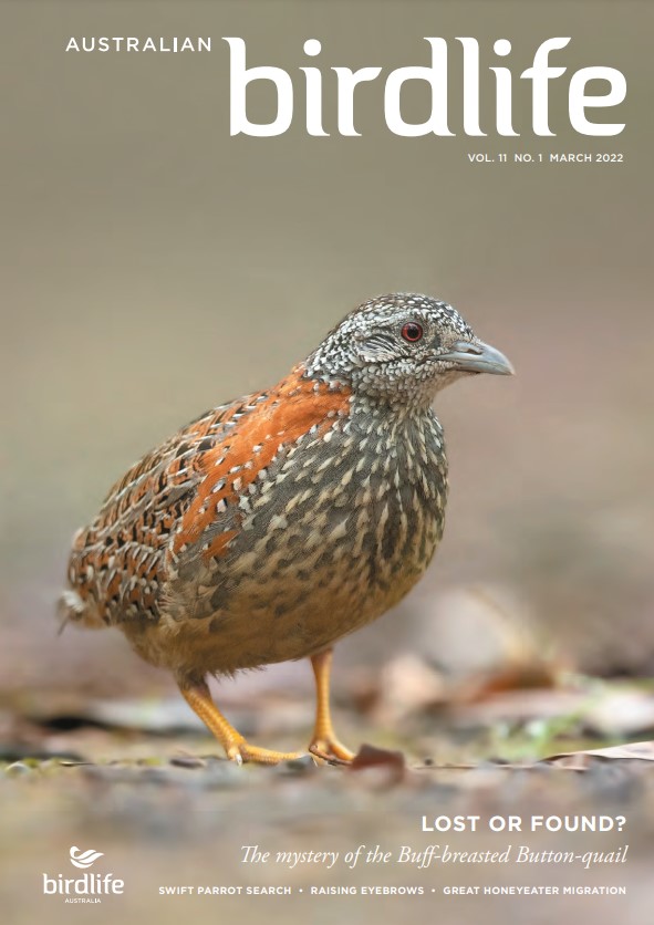 Front cover featuring a Painted Button-quail