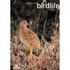 Front cover featuring a Plains-wanderer