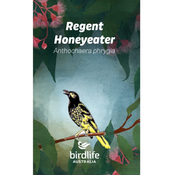 A Regent Honeyeater pin affixed to a backing card featuring eucalyptus leaves and blossom.