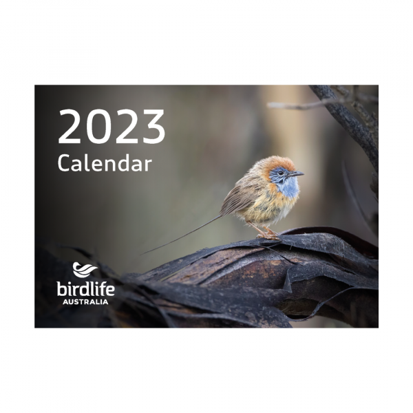 2023 Calendar Cover with Mallee Emu-wren