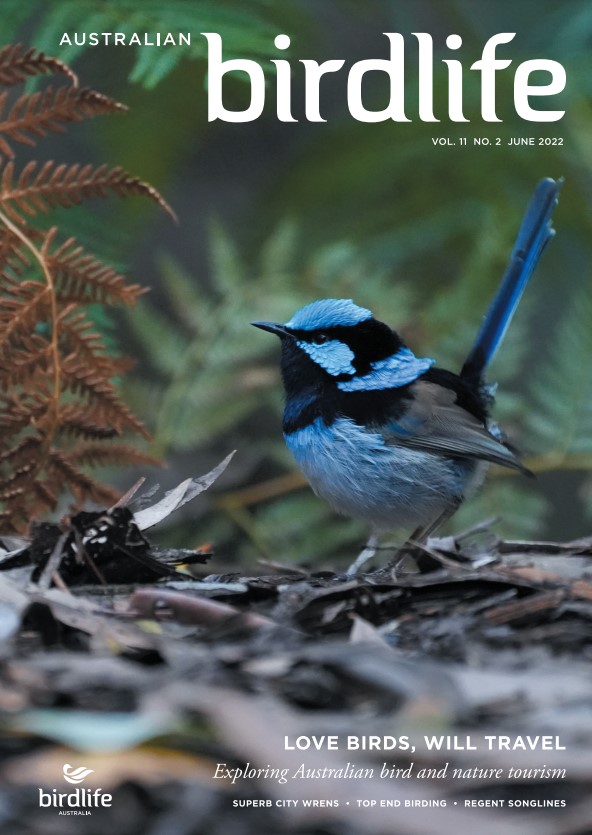 Front cover featuring a male Superb Fairy-wren