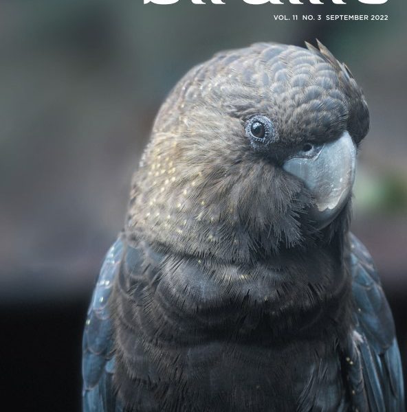 Front cover featuring a Glossy Black-Cockatoo.