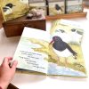 Example of pages featured in the book. The book is opened, showing an illustration of a Pied Oystercatcher standing in the shallow tide.