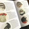 Example of pages featured in the book. The book is opened, showing illustrations of profile headshots of each bird, followed by an informational blurb.
