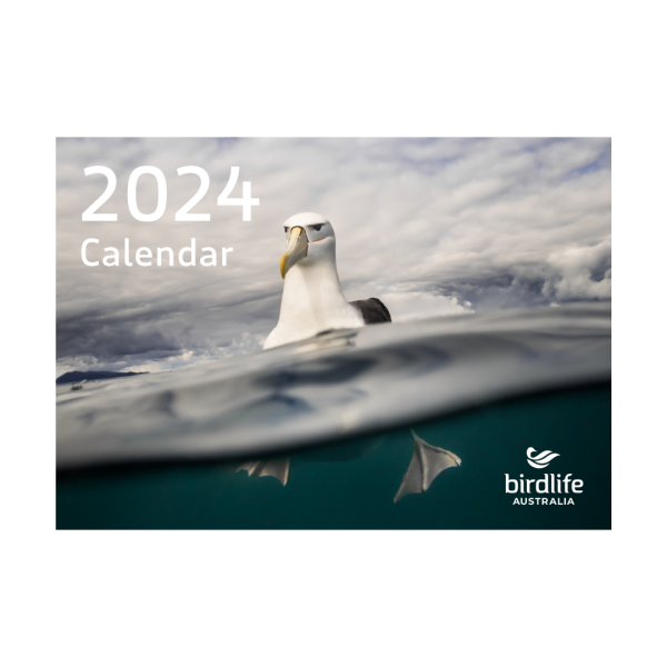 Front cover of the 2024 BirdLife Australia calendar featuring a Shy Albatross in the ocean,