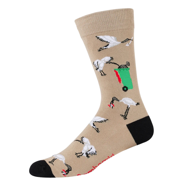 A sand coloured sock with a black heel and toe. The sock features several images of Australian White Ibis eating rubbish and investigating bins.