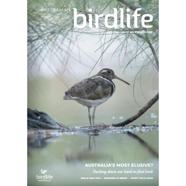 Front cover of the magazine featuring an Australian Painted Snipe.