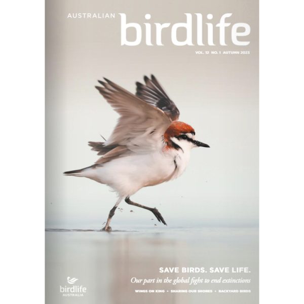 Front cover of the magazine featuring a Red-capped Plover.