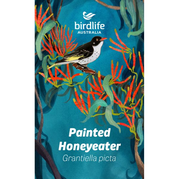 An enamel Painted Honeyeater pin affixed to a backing card featuring mistletoe artwork.