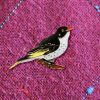A Painted Honeyeater pin affixed to magenta coloured fabric.