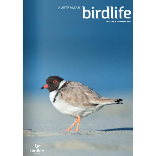 Front cover of the magazine featuring a Hooded Plover.