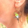 A Rainbow Bee-eater Earring hanging from a person's left ear.