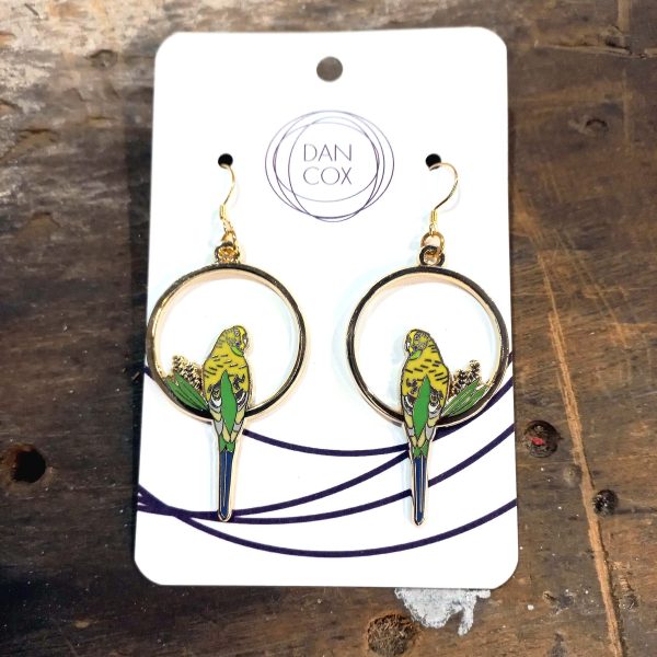 Two circular earrings displayed on a card, sitting on top of a wooden background. The earrings feature a Budgerigar sitting next to some native foliage.