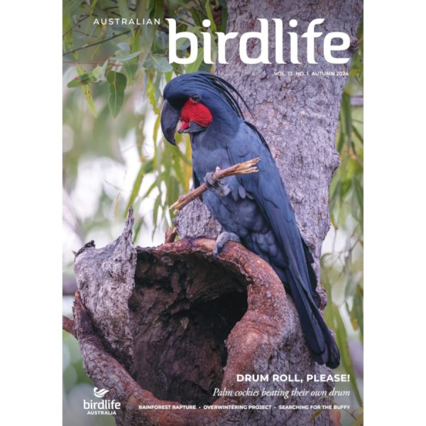 Front cover of the magazine featuring a Palm Cockatoo.