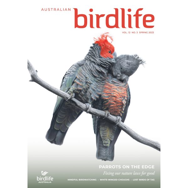 Front cover of the magazine featuring two Gang-gang Cockatoos.