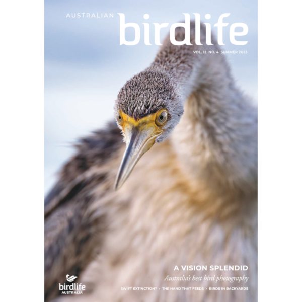 Front cover of the magazine featuring an Australian Darter